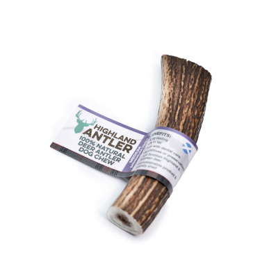 Et mellemstort hjortegevir - også kaldet Antler Medium 76-150 gram